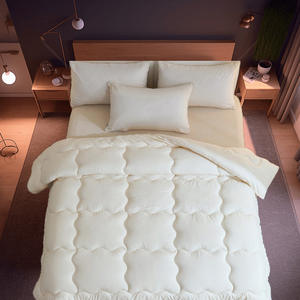 لحاف دافئ سميك عبر الحدود ، لحاف أساسي من الكتان للربيع والخريف ، لحاف هدية لحاف سائب - Product Image 6