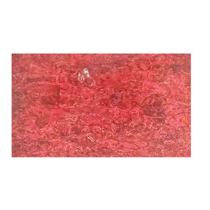 Bán Buôn Vỏ Bào Ngư Biển New Zealand Chất Lượng Cao Vỏ Bào Ngư Cỡ Lớn Làm Trang Sức - Product Image 5