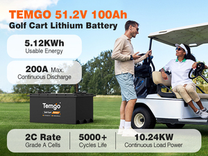 Baterai Mobil Golf TEMGO Lifepo4 AS 100ah 48v Lithium 72v 36v dengan Casing Logam untuk Kendaraan Listrik LSV - Product Image 2