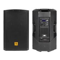 PXL15-DM450GC 15 pouces classe D système de boîte de son en plastique fête DJ maison haut-parleur actif 15''