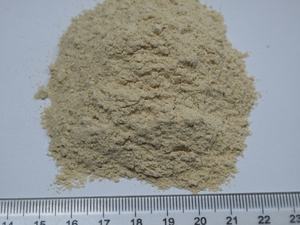 ผงเครื่องเทศวาซาบิสีขาวแห้งหัวไชเท้าม้าแห้งจากพืชชนิดหนึ่ง - Product Image 4