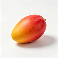 Mangga Shaanxi Guifei Premium Kualitas Ekspor Standar GlobalGAP Panen Segar 12cm 5.5kg Bersertifikat HACCP