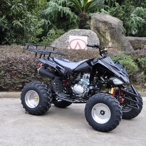 CEE adulto atv <span class=keywords><strong>quad</strong></span> 1 reverse single cylinder4 stroke250cc desplazamiento alta calidad <span class=keywords><strong>precio</strong></span> barato venta caliente - Product Image 6