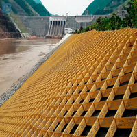Stabilisateur de grille de gravier Geocell en plastique HDPE extérieur nid d'abeille Geoceldas route mur de soutènement pente modèle 3D capacité de conception PP