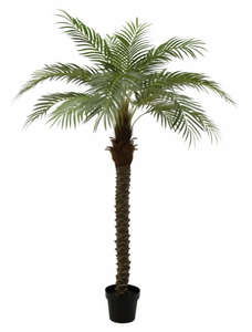 Árbol Artificial de Hierro, Palmera y Cocotero para Decoración de Interiores y Exteriores, Centros Comerciales, Restaurantes, Jardines y Zoológicos - Product Image 2