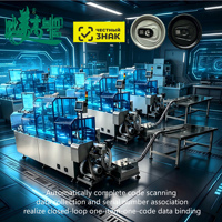 Machine de codage laser à fibre à double tête pour le chargement automatique de capuchons en aluminium, avec lecteur QR intégré et système de rejet