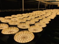 Ampoule LED de croissance à spectre complet en forme de soucoupe volante pour extérieur, 15W, E27, pour la floraison de la pitaya