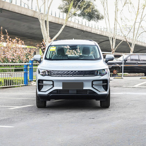 2025 Geely Radar King Kong Fortune King Kong 605KM Box RD6 Pickup Truck nuove energia veicoli 4WD auto per adulti - Product Image 3