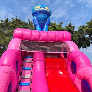 Château gonflable à thème du <span class=keywords><strong>Pays</strong></span> <span class=keywords><strong>des</strong></span> <span class=keywords><strong>Merveilles</strong></span> avec toboggan, motifs Chat Bleu et Princesse, 7x5m, pour fêtes d'enfants - Product Image 5
