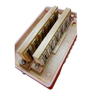 SEASOUND OEM Accordéon professionnel en bois diatonique à 31 boutons et 12 basses JB3112D avec instrument d'accordéon à bouton rouge