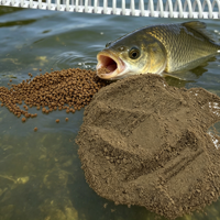 Mycopeptides 70% : Additifs Alimentaires de Qualité Supérieure pour l'Élevage de Poissons en Étang, Certifiés ISO-9001