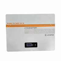 Batterie solaire murale OEM/ODM en option de 5 kWh ou 10 kWh avec écran d'affichage, hors réseau hybride, pour système de stockage d'énergie domestique