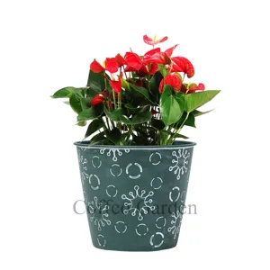 Coffco 10inch Snowflake Planter Plastic Flowerpots Garden Supplies for Indoor   Outdoor Garden Home Plants