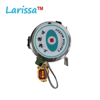En gros 100W 150W 280W Maison Chauffe-Eau Solaire Chaude de Pression Automatique de Pompe à Eau