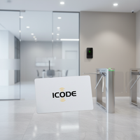 Cartes de porte magnétiques MFARE DESFire EV1 EV2 EV3 2K 4K pour hôtel, motel, PVC, carte intelligente RFID