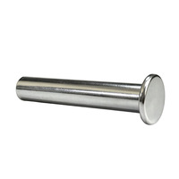 Rivets semi-creux à tête plate en acier inoxydable galvanisé, traités par extrusion à froid, sur mesure, OEM/ODM disponible, diamètre 9,5 mm, 16 mm