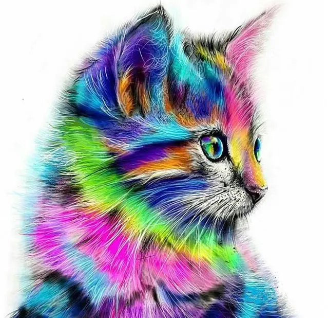Wholesale 5d diamond painting colorful cat abstract diy 5d crystal diamond painting living room modern decoration art