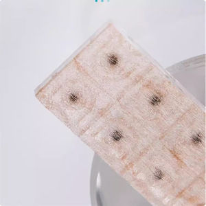 แผ่นแปะจุดฝังเข็มหูจากเมล็ดวัคคารีอาแบบใช้แล้วทิ้ง 100 แผ่น เป็นมิตรกับสิ่งแวดล้อม สำหรับการดูแลหู - Product Image 2