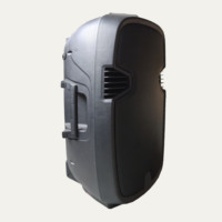 Système de sonorisation professionnel 250W avec haut-parleur de graves 15 pouces, entrée CA 220-240V, amplificateur actif, enceinte en plastique pour extérieur