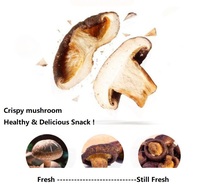 Verschillende Smaken Gedroogde Knapperige Champignonzoutpeper/Zwarte Truffel/Originele Smaken Vacuüm Gebakken Gedroogde Knapperige Paddenstoel