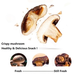 Différentes saveurs <span class=keywords><strong>Champignon</strong></span> croquant séché Sel poivre/Truffe noire/saveurs originales <span class=keywords><strong>Champignon</strong></span> croustillant séché <span class=keywords><strong>frit</strong></span> sous vide - Product Image 4