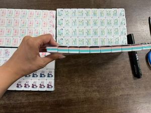 Nuevo Mahjong Americano 2026 de 4 Capas, 160 Fichas Acrílicas con Diseño de Panda y Reverso Color Tortuga - Product Image 3