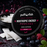 Usine OEM Personnalisée en Stock Zxn Velo Energy Snus Cans Fox Sachets de Snus aux Saveurs Variées Plastique & Métal