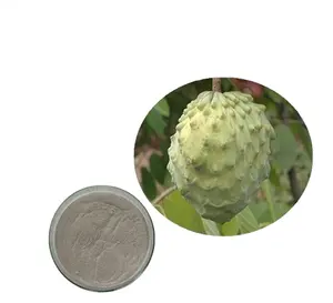 उष्णकटिबंधीय फलों का रस पाउडर Annona muricata Linn. Soursop रस पाउडर
