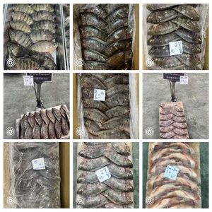 Tilapia entière congelée BQF 300-500 500-800 800-1000 1000g+ |   Poisson Tilapia Congelé en Bloc Bon Prix Afrique - Product Image 6