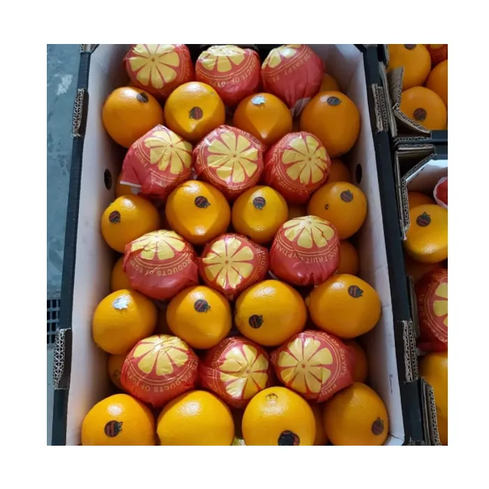 2022 Best Selling And High Quality Navel Orange Oranges New Crop Of Fresh Orange Natural Sweet For Sale From Egypt