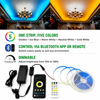 Kit de bandes LED intelligentes 5-en-1, bande LED RGB à température de couleur réglable, avec alimentation, contrôleur et télécommande pour la décoration intérieure