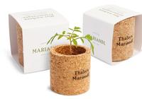 Kit de démarrage pour jardin d'herbes d'intérieur, jardinière auto-arrosante, adaptée aux débutants, pour cultiver du basilic frais, de la menthe et du persil