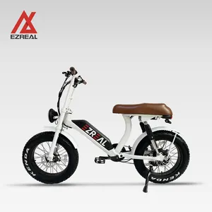 EZREAL HL01 할리 스타일 페들 어시스트 전기 자전거 미드 모터 1000W 새로운 모양 전자 자전거 다운 튜브 배터리 오염 덜 e-mtb