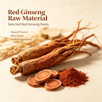 Poudre d'extrait de ginseng rouge en vrac, poudre de racine de ginseng traitée à la vapeur, aliment santé, emballée sous vide en fût pour complément alimentaire brut