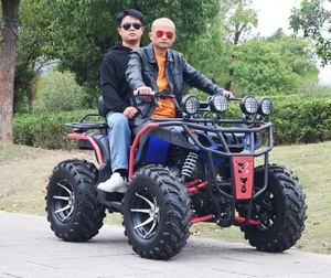 <span class=keywords><strong>Cuatrimoto</strong></span> Deportiva de Alta Calidad para Exteriores, 4 Ruedas, 250cc, 300cc, 350cc, 4 Tiempos, 1000W, Transmisión por Cadena, Manual, 4x4, para Adultos - Product Image 4