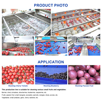 Waslijn voor cherrytomaatjes, passievruchten, olijven, pruimen, abrikozen; wasmachine met bubbels; fruitreinigingslijn