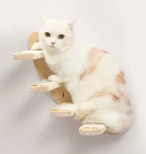 Kedi raf ile iki adım duvar rafları ve Perches kedi yatak hamak duvara monte büyük bambu kedi yatak raf Kitty mobilya