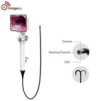 Endoscope vidéo flexible, caméra d'endoscopie numérique portable avec lumière LED pour ORL, urologie, bronchoscopie, vétérinaire