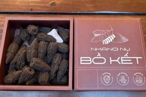 Incienso en Cono Nhang N Bo Ket, 2.5g Cada Caja, 39 Unidades, Hecho a Mano en Vietnam, Aromático - Product Image 4