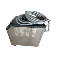 Machine de lavage de voiture à vapeur électrique/Nettoyeur vapeur de lavage de voiture Italie/Machine de nettoyage de tapis commerciale
