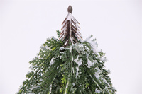 Sapin de Noël miniature givré en gros, branches de cèdre vertes, sapin artificiel de Noël, décoration de table intérieure pour la maison