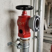 Hydrants d'incendie intérieurs durables et économiques sur mesure pour bâtiments commerciaux – Vente en gros
