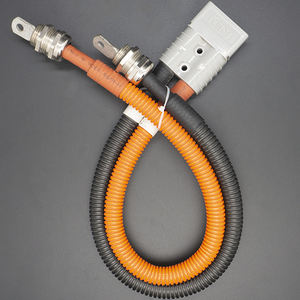 工厂定制高品质 2 针 120A 连接器至电缆接头和管端子汽车线束 - Product Image 4