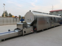 Machine à rôtir rotative à tambour pour céréales et noix, capacité de 20 à 1000 kg par lot, pour graines de légumes/soja/sésame/arachides