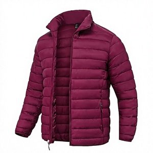 Veste d'hiver décontractée pour homme, légère, pliable, 100% duvet, imperméable, avec capuche et poche de rangement - Product Image 1