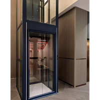 Ascensore Residenziale Idraulico Intelligente dal Design Moderno, Personalizzato Senza Ingranaggi per Villa, con Certificazione ISO9001/CE