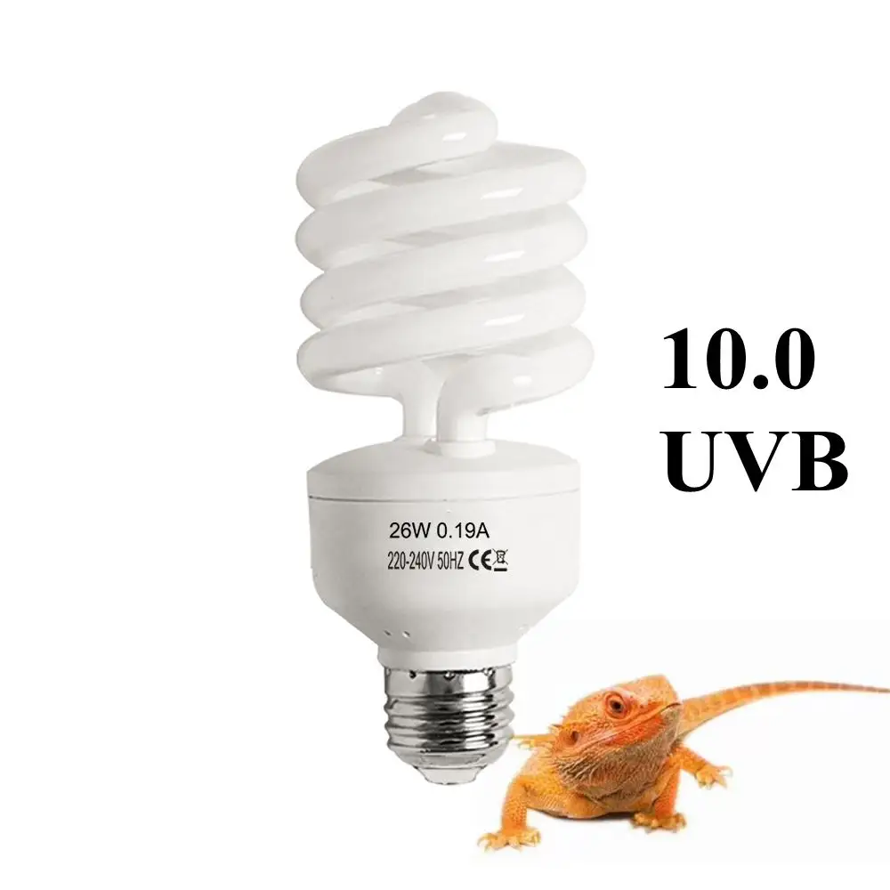 UVB 10.0 Reptile UVB light, lampe fluorescente compacte UVB pour caméléon lézard tortue