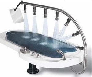 Baignoire Spa de Luxe GD539 pour Hôtels – Cabine de Douche et Bain de Sel Relaxante pour le Corps – Équipement de Spa le Plus Vendu - Product Image 1