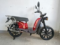 Trottinette électrique 1000W, batterie au plomb 48V 60V, trottinette électrique urbaine personnalisable en couleur