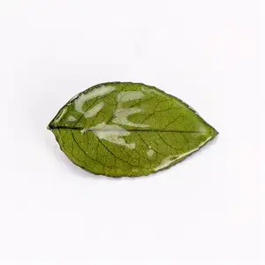 Nouvelle broche de feuille de Rose broche de goutte de feuille verte broche exquise haut de gamme pour femmes épingle de revers